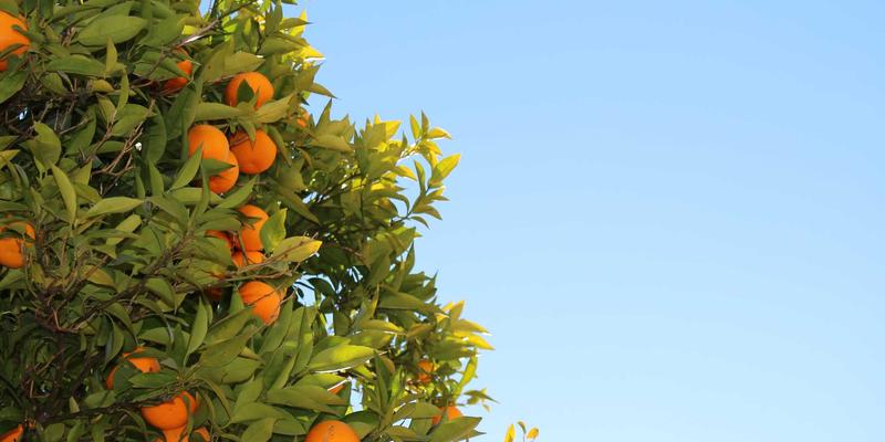 时尚设计留学全攻略：从中央圣马丁到帕森斯，如何打造颠覆性作品集