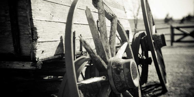 艺术生语言要求新解：托福雅思低分如何通过作品集和面试逆袭