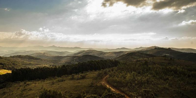 艺术留学100问：海外院校申请、教育咨询与作品集指导全解析