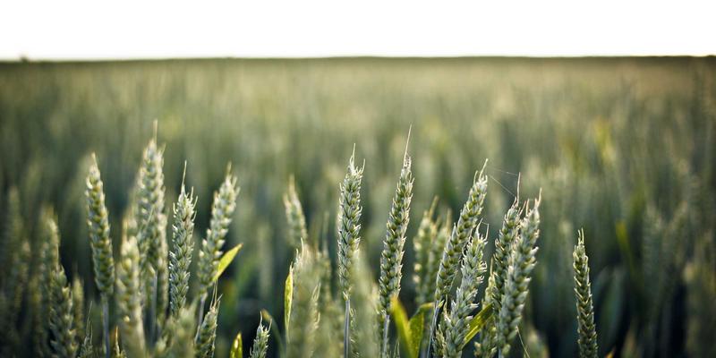 艺术留学作品集反馈渠道全解析：如何高效利用院校开放日、校友评审与行业导师资源