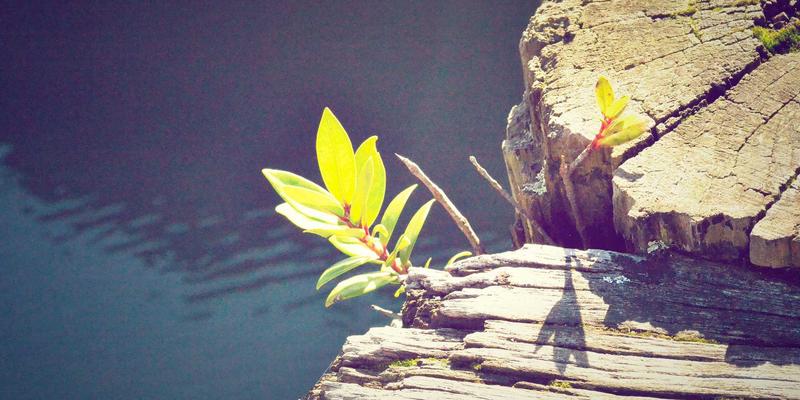 艺术留学作品集审核内幕：顶尖院校招生官究竟在寻找什么特质？