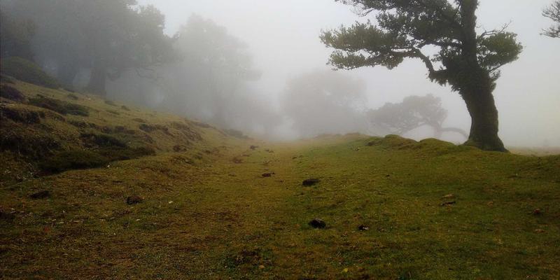 艺术留学作品集突围指南：解锁艺术涂鸦风格的创作密码与策略