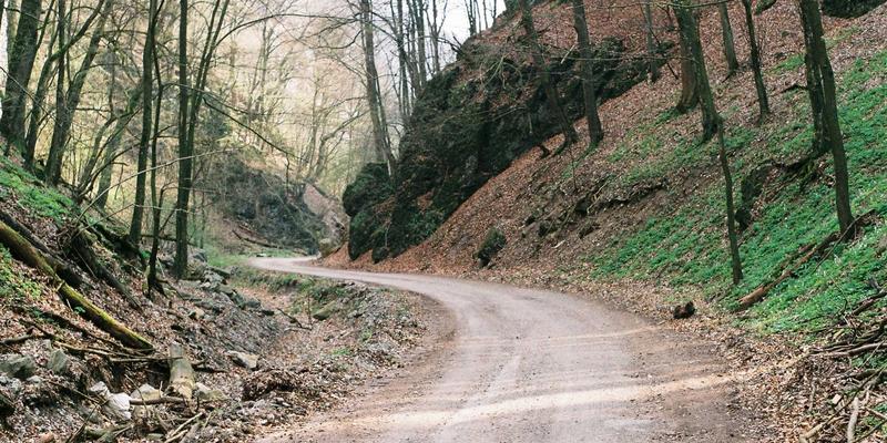艺术留学全攻略：从涂鸦风格到海外顶尖院校申请
