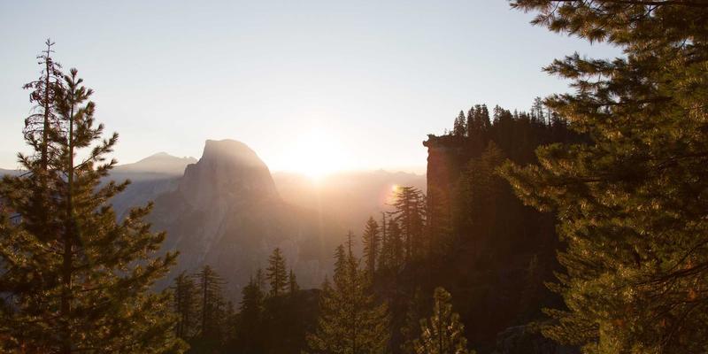 艺术留学全攻略：如何选择专业留学服务与教育咨询，开启你的艺术梦想之旅