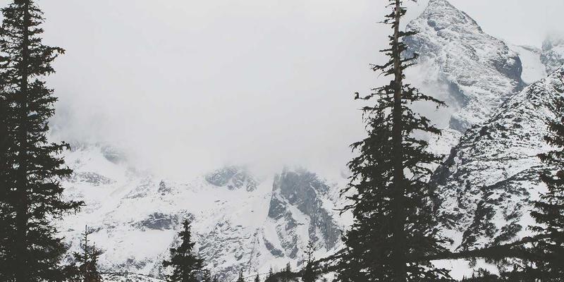 艺术留学全解析：如何通过专业教育咨询与留学服务实现艺术梦想