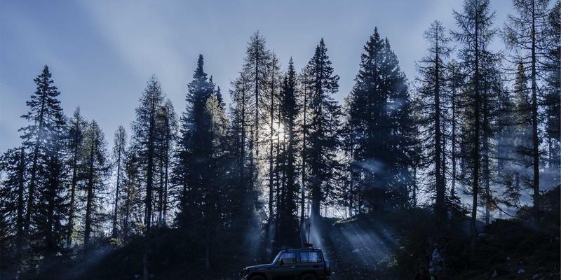 艺术留学成功之路：作品集指导与专业留学服务的核心价值