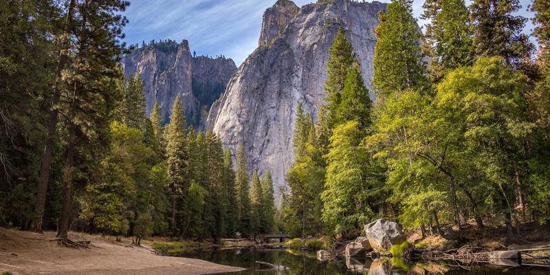艺术留学新浪潮：从艺术涂鸦风格到海外顶尖院校的申请之道