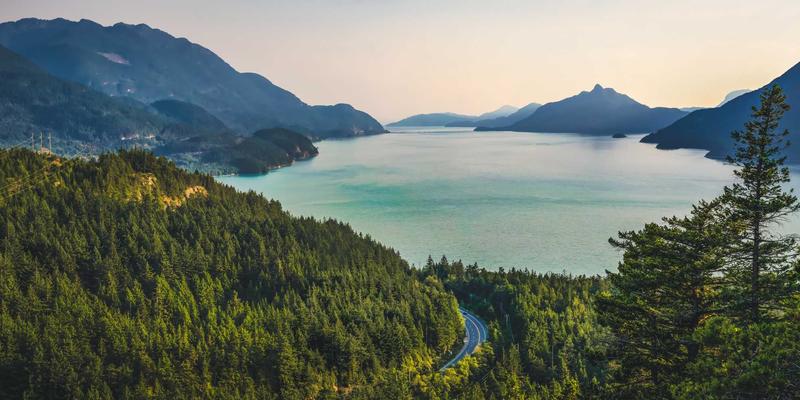 艺术留学新浪潮：当涂鸦风格碰撞专业留学服务，如何规划你的艺术之路？