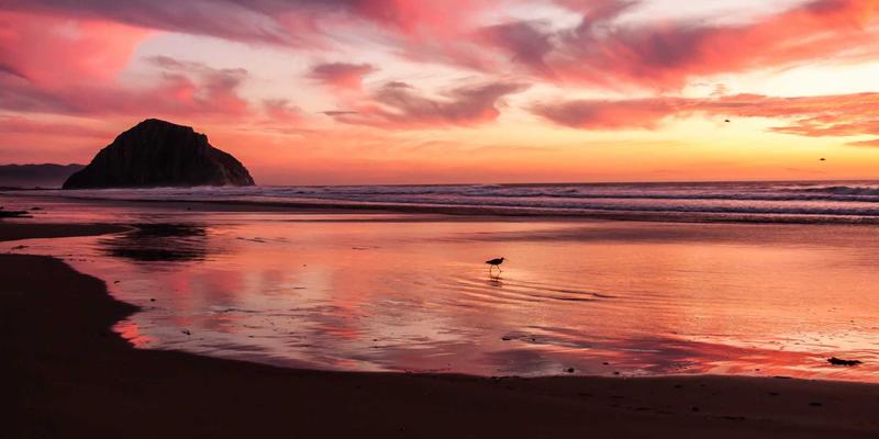 艺术留学新浪潮：涂鸦风格崛起与专业教育咨询的价值