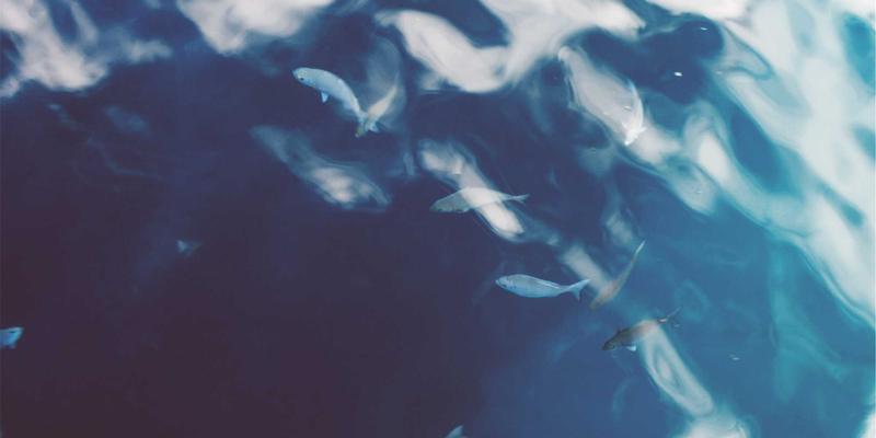 艺术留学新视野：深度解析艺术治疗、社会参与式艺术与公共艺术院校选择