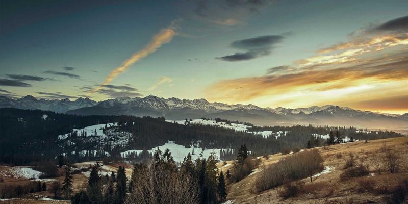 艺术留学新趋势：从教育咨询到艺术涂鸦风格的个性化升学之路