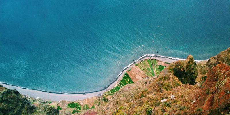 艺术留学新趋势：从艺术涂鸦风格看个性化教育咨询与留学服务
