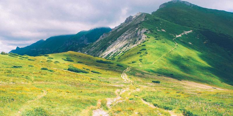 艺术留学行前完全指南：从专业作品集到文化适应的必备清单