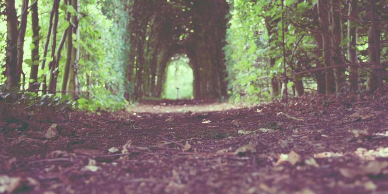 艺术留学进阶指南：作品集指导与艺术涂鸦风格的创新融合