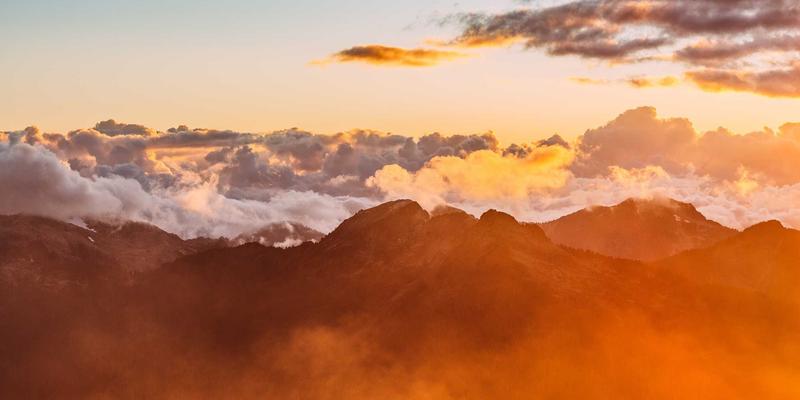 艺术策展留学实战：从海外院校申请到国际展览的进阶指南